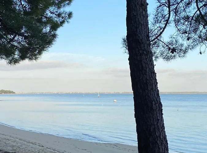 Le Cocon Ou D'hote Saint-Trojan-les-Bains