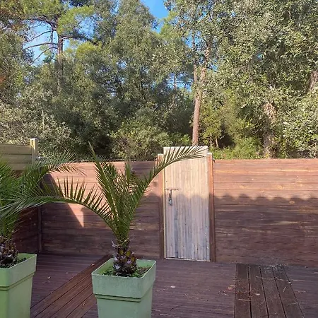 Le Cocon Ou D'hote *