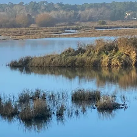 Le Cocon Ou D'hote Holiday home *