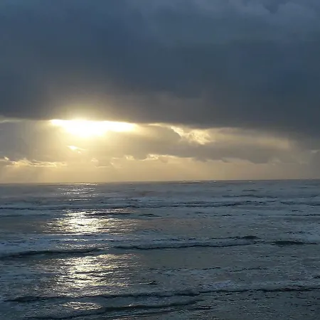 Le Cocon Ou D'hote * Saint-Trojan-les-Bains