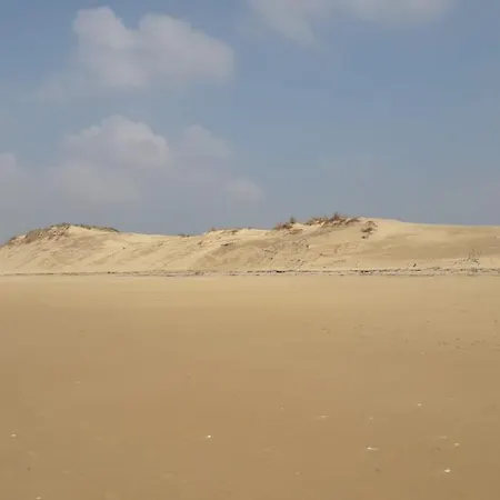 Le Cocon Ou D'hote Saint-Trojan-les-Bains