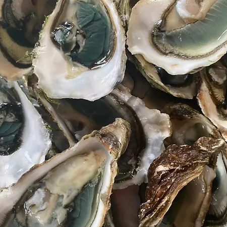 Le Cocon Ou D'hote *