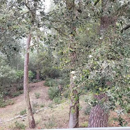 Hébergement de vacances Le Cocon