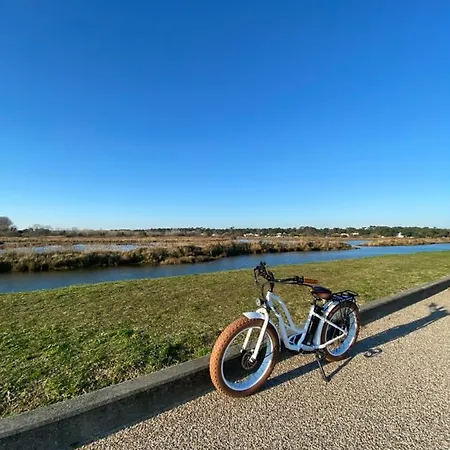 Le Cocon Ou D'hote *