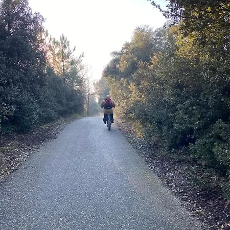 Holiday home Le Cocon Ou D'hote *