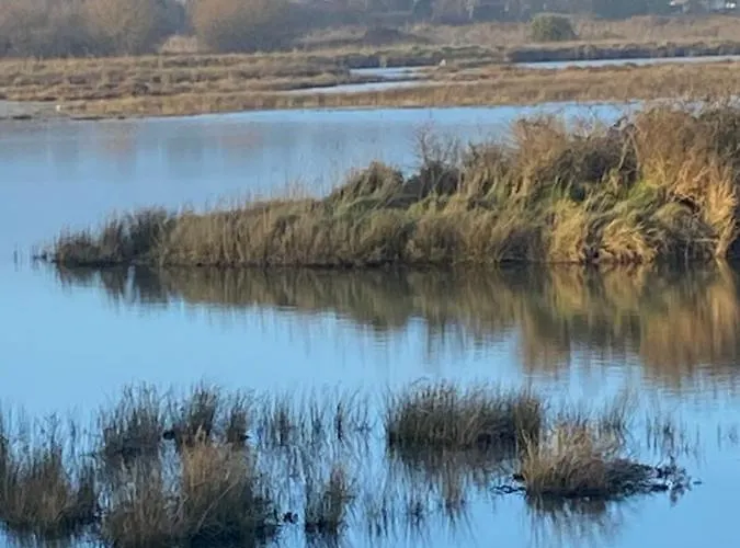 Le Cocon Ou D'hote Holiday home *