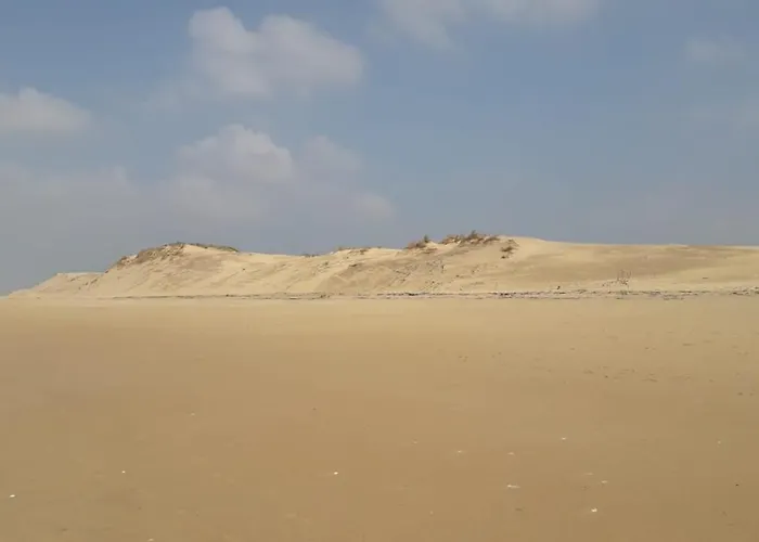 Le Cocon Ou D'hote Saint-Trojan-les-Bains