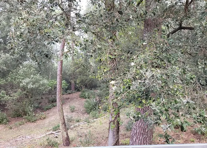 Holiday home Le Cocon Ou D'hote