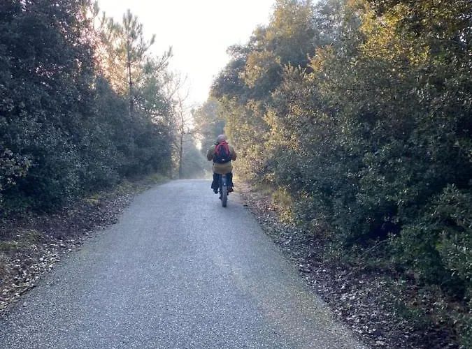 Holiday home Le Cocon Ou D'hote *